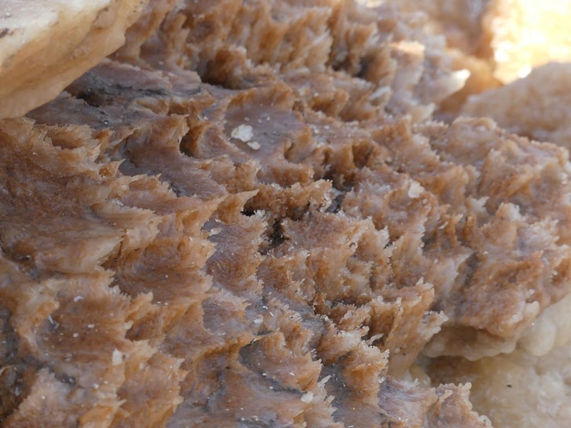 P1050359