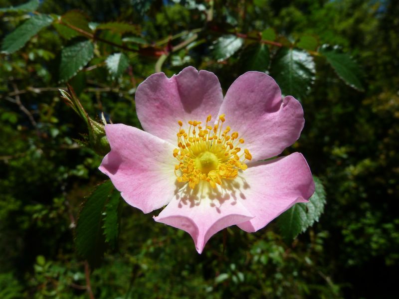 P1030361