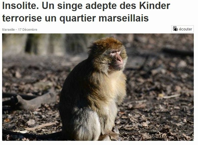 singe1