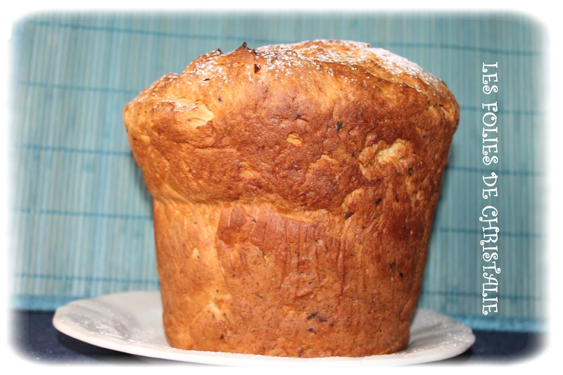 Panettone 15