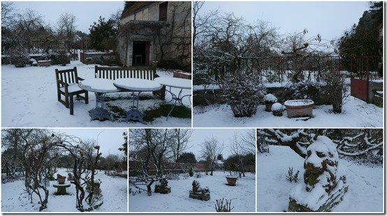 jardin 19 janvier 2024