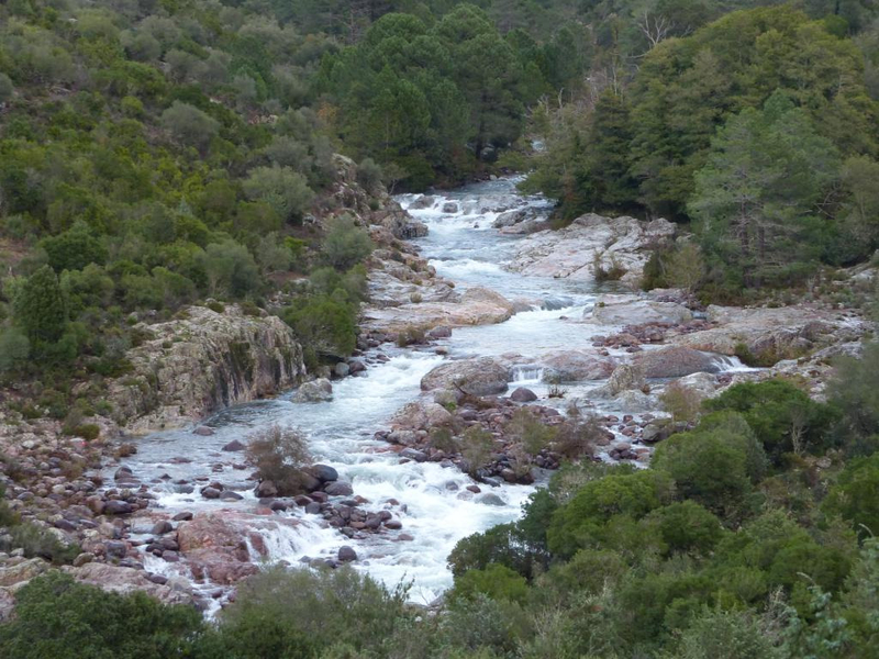 P1260671