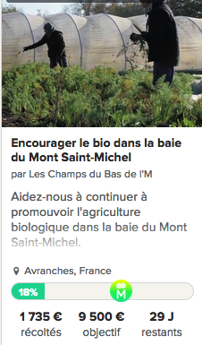 Etienne Leroy_maraicher_bio_Avranches_serre_soutien_Mimosa