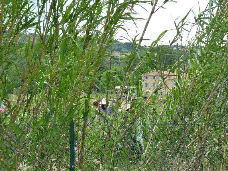 P1090876
