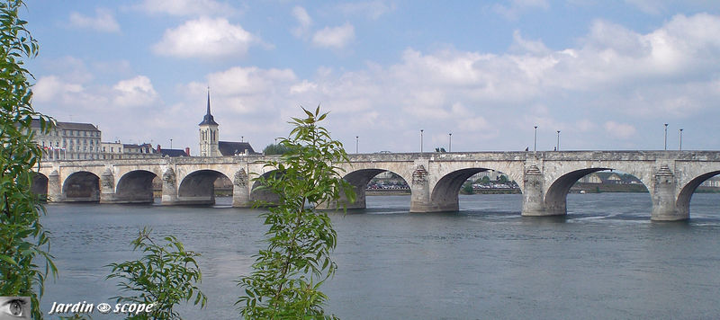 Vieux_pont_Saumur