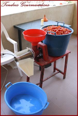 Sauce tomate cerise maison recettes Sauce tomate cerise maison