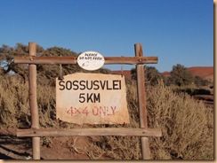 Parc du Namib, Sossusleiv (68)