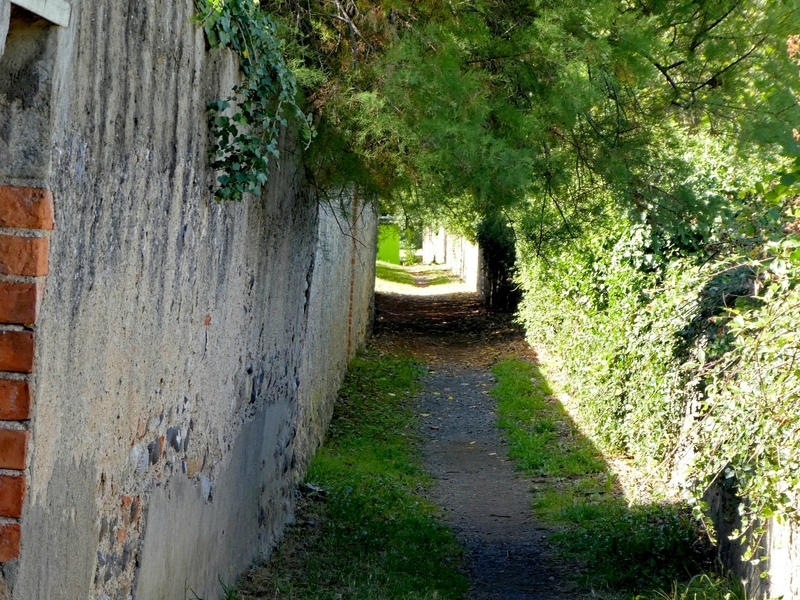 P1030577