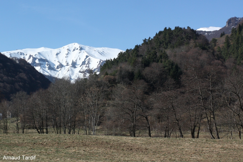 00192 Puy Ferrand - Vallée de Chaudefour BLOG