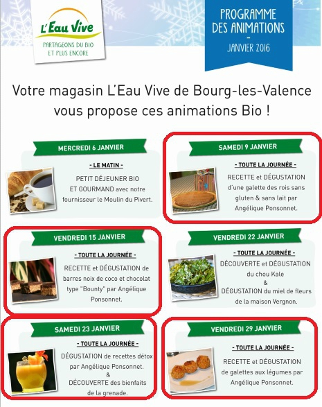 animations janvier