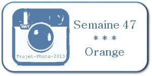 Sem-47_Orange-300x151
