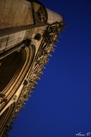 notredame2