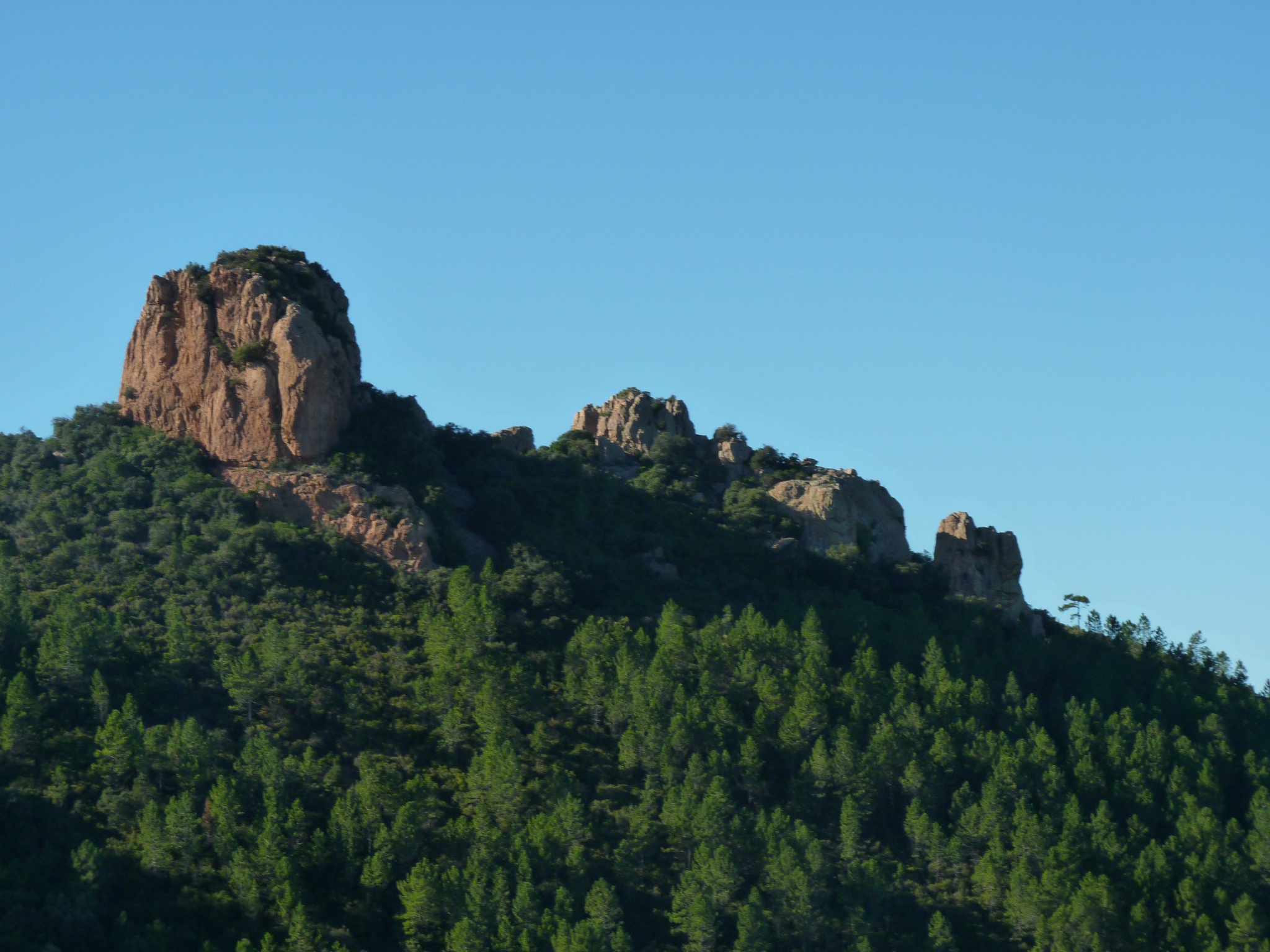 P1110117 - Copie