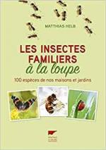 Les insectes familiers à la loupe couv