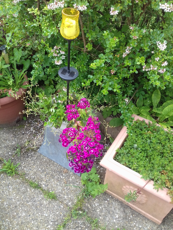 20190622_113337 - Copie