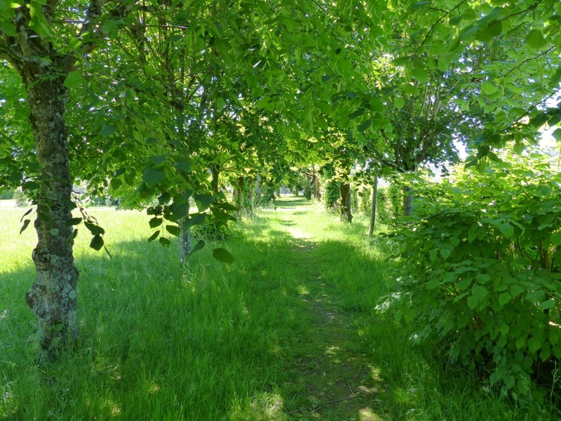 P1200893