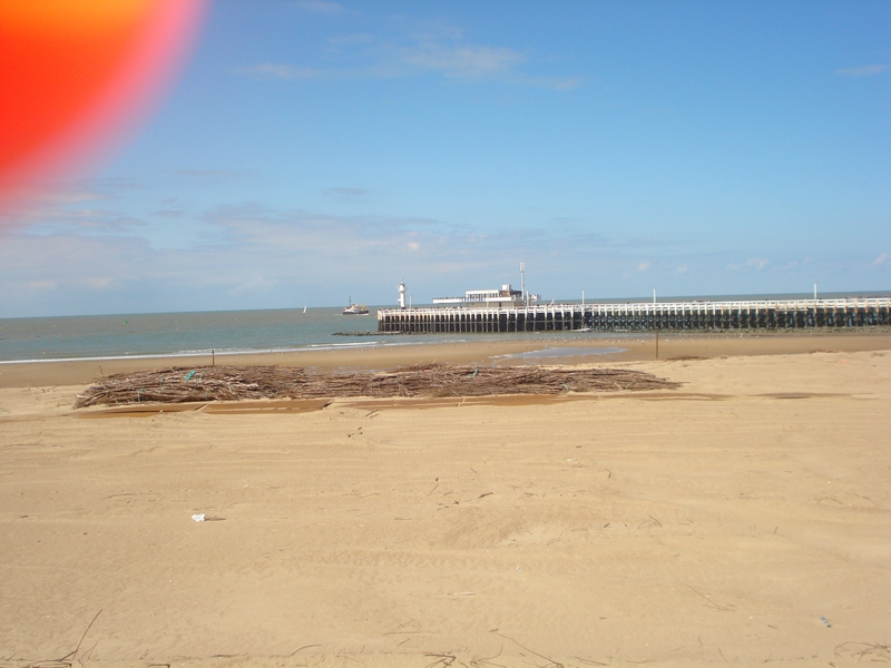DSC02564