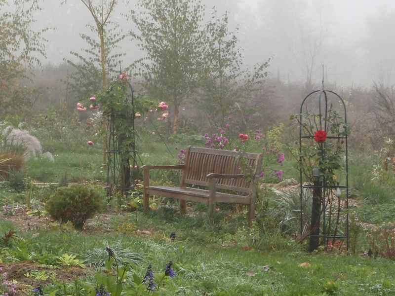 le jardin dans la brume