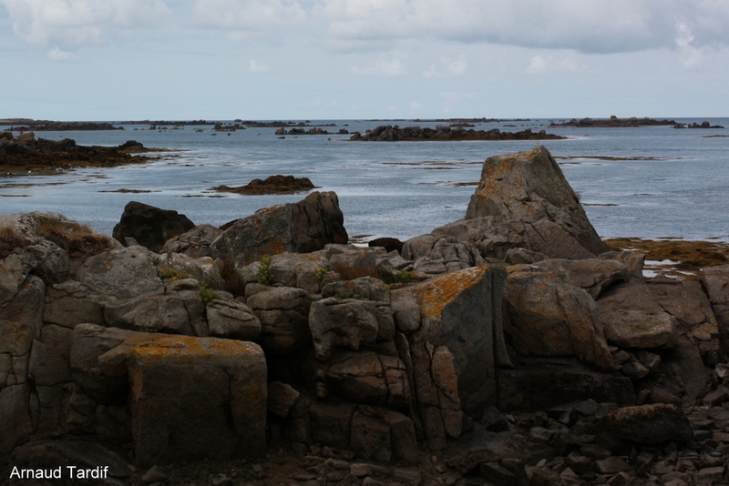 00859 Bretagne Saint-Coulomb - L'Ile Chausey - L'extrémité du Gros Mont