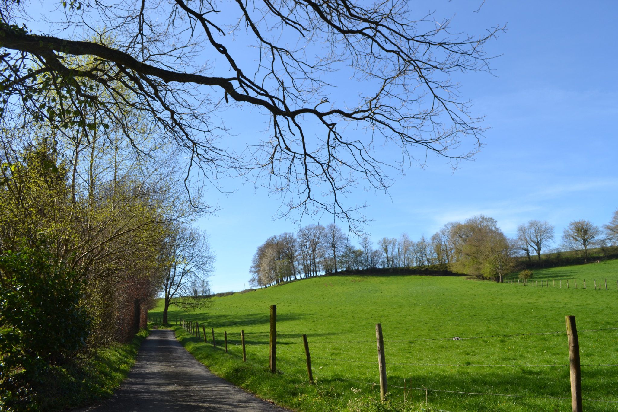 DSC_5911