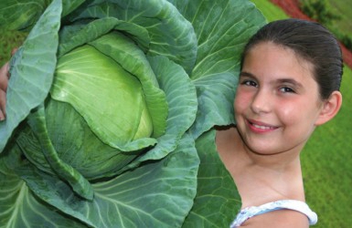 12-year-old-food-grower-donates-2-tonnes-of-vegetables-to-homeless-385x250