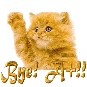 Bye chat