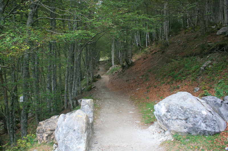 Lac_d_Ansab_re_008