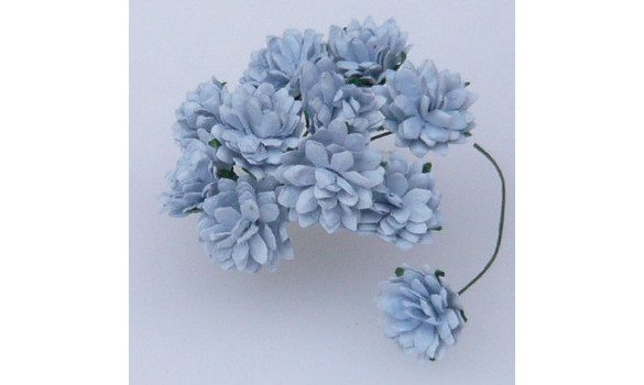 fleur nénuphar bleu baby