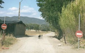 Pépères 13