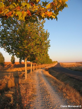 chemin_affiche_MD_sign_e