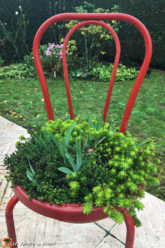Chaise-bistrot-sedums