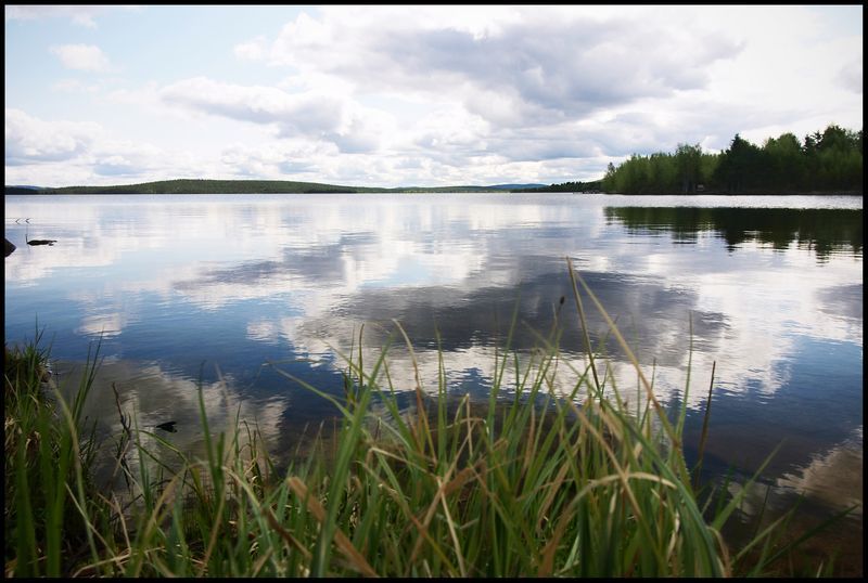 166-Lac et herbes