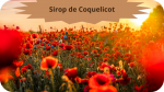 20 COQUELICOT(1)Sirop de Coquelicot-modified