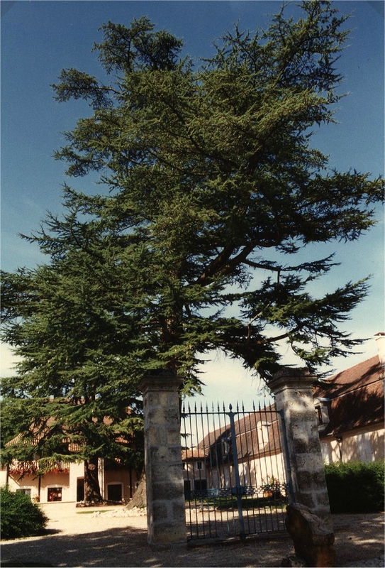 portail d'entrée de Borie-Brut