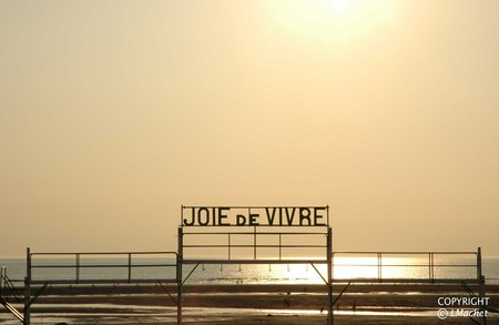 joie_de_vivre_web_copie
