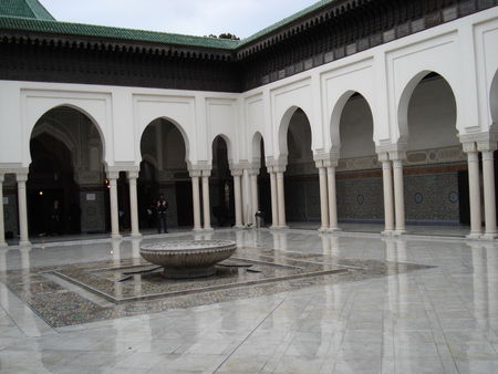 mosqu_e_3