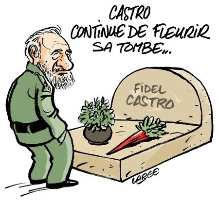 castro2_large