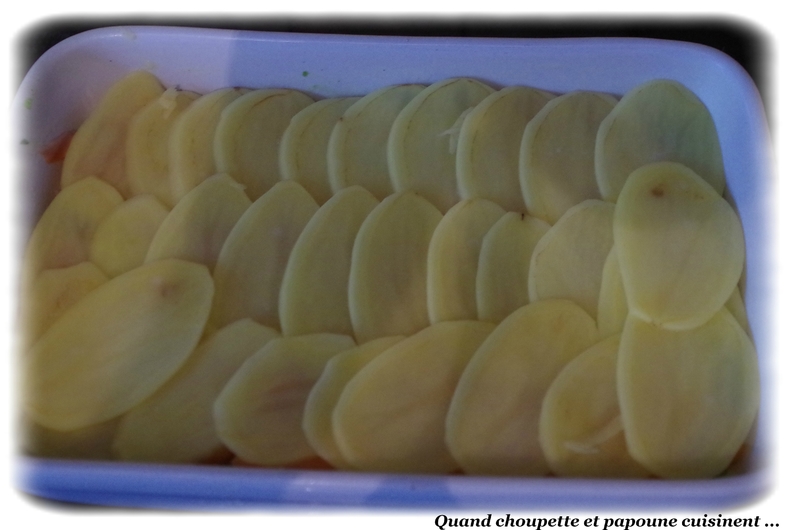 gratin épinard-saumon et pommes de terre-1861