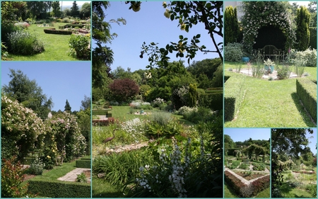 A1 -JARDIN DE CAMILLE 20 juin 2012 (5)