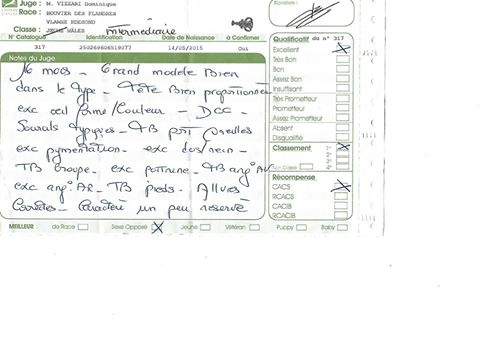 L'ours de la dullague superbes commentaires du juge et résultats
