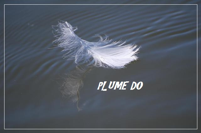 Plume Do_Dominique