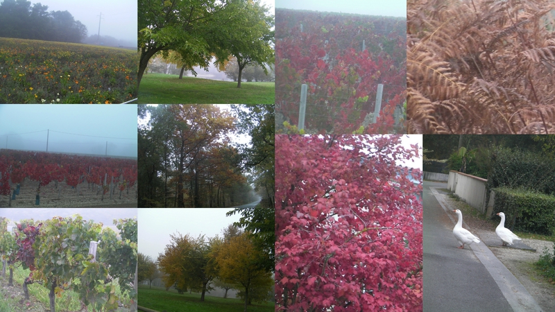couleurs automne