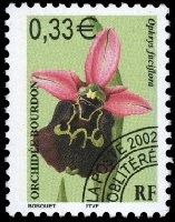 Orchidee_Bourdon2002