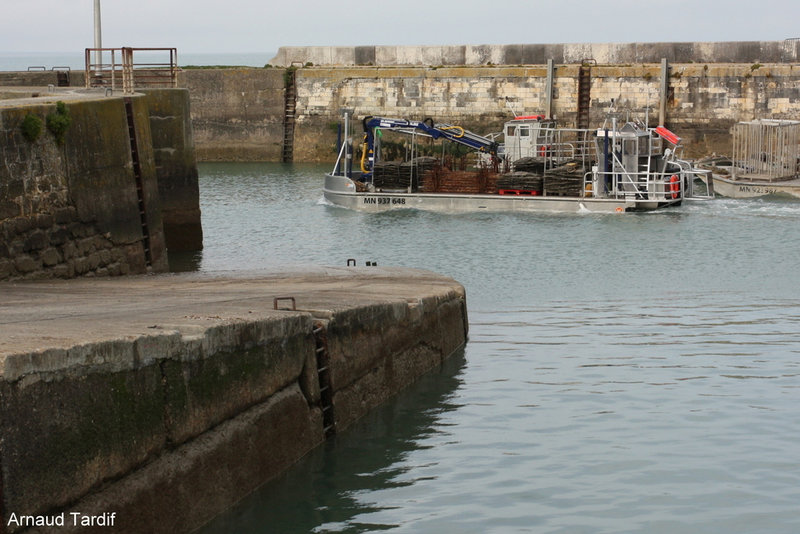 00704 Oléron Février 2022 - Bourcefranc - Le Port du Chapus