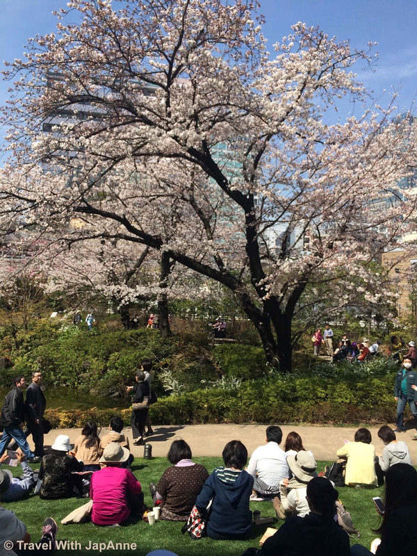 Sakura28_Travel_With_JapAnne_2015