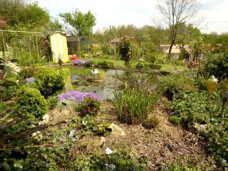 la cabane et le bassin JPG