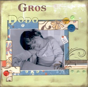 Gros_dodo