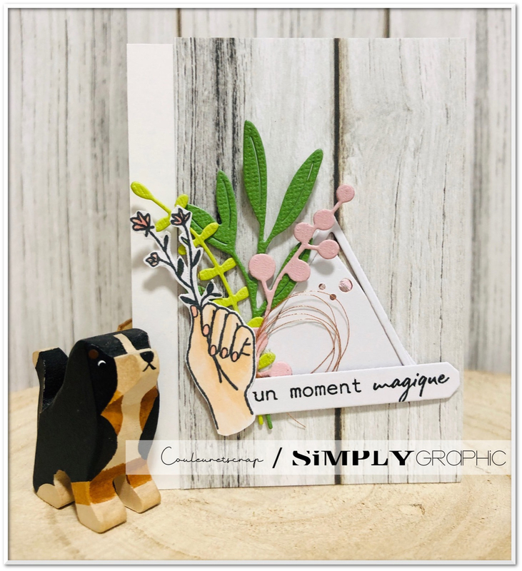 Couleuretscrap_pour_Simply_Graphic_carte_PL_magique