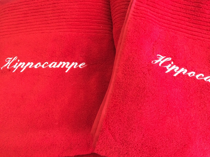 MI NPAQUES 004