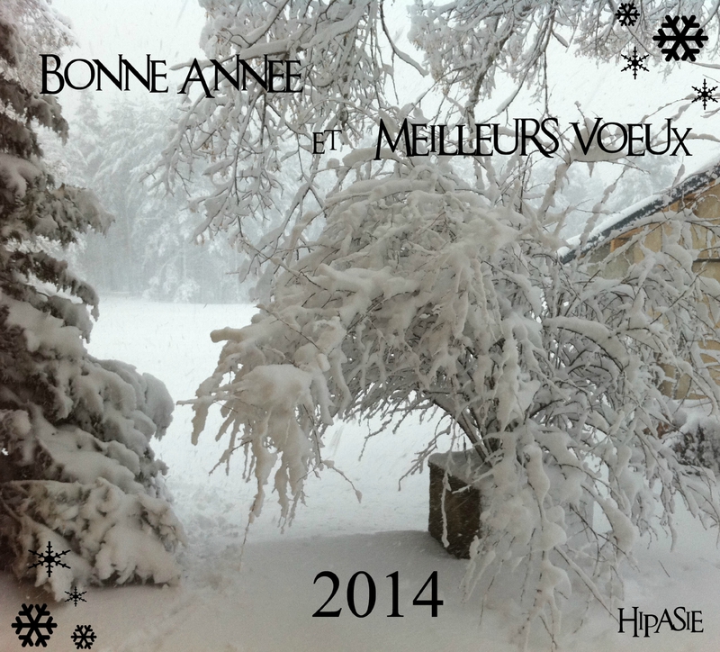 bonne-anne-2014